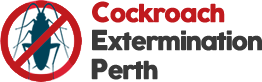 Cockroachext Terminator Perth 